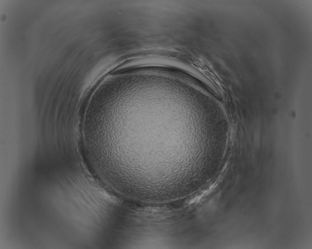 X0000089660101200707121209