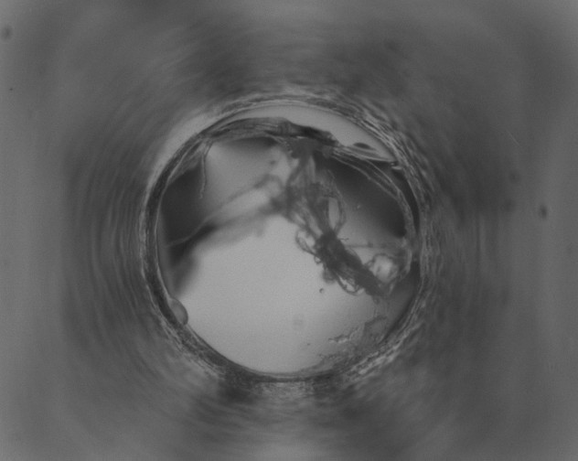 X0000089660102200707121209