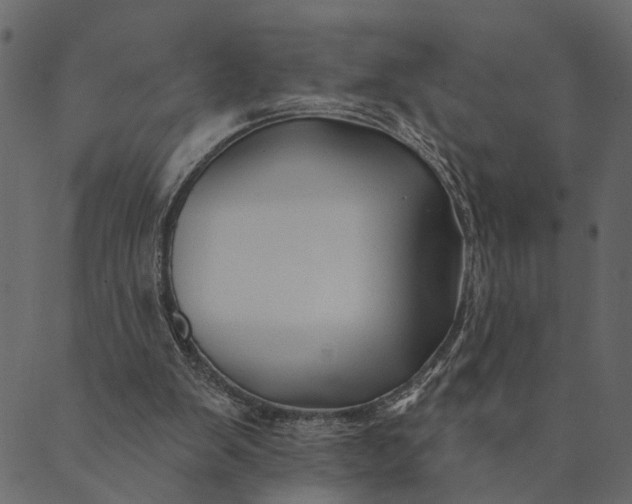 X0000089660103200707121209