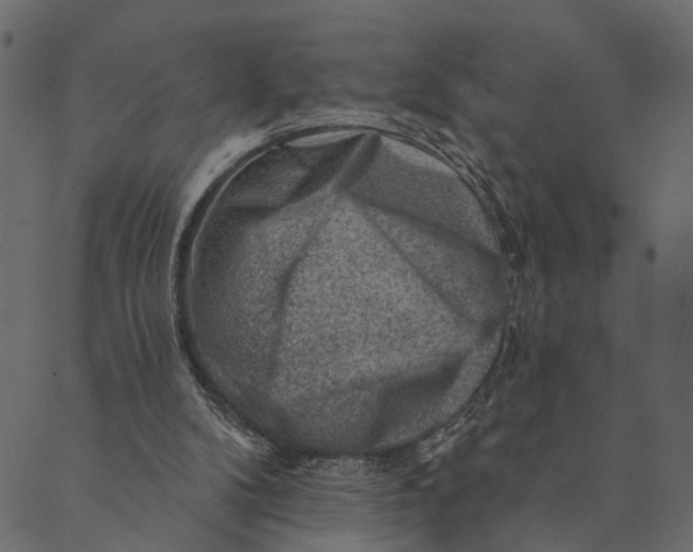 X0000089660104200707121209