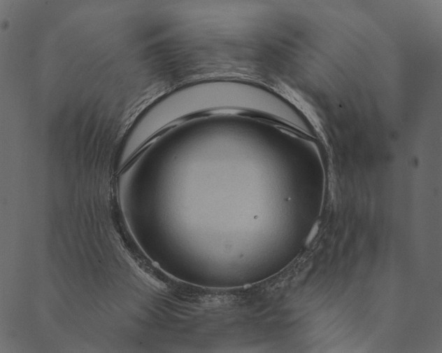 X0000089660105200707121209