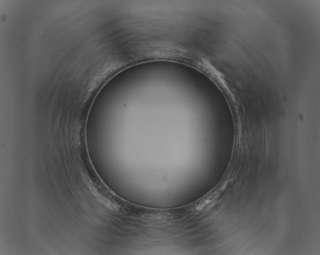 X0000089660106200707121209