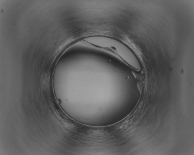 X0000089660107200707121209