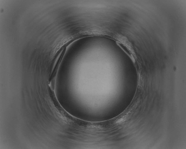 X0000089660109200707121209