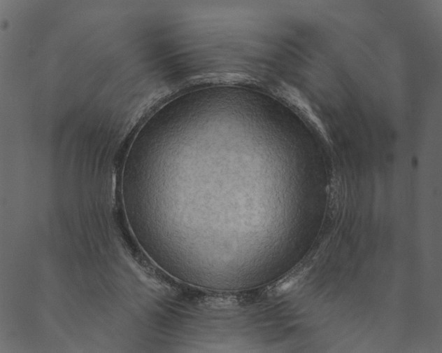 X0000089660110200707121209