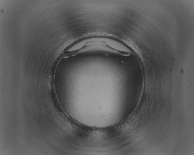 X0000089660111200707121209