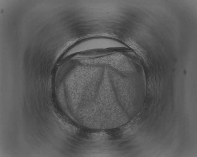 X0000089660112200707121209