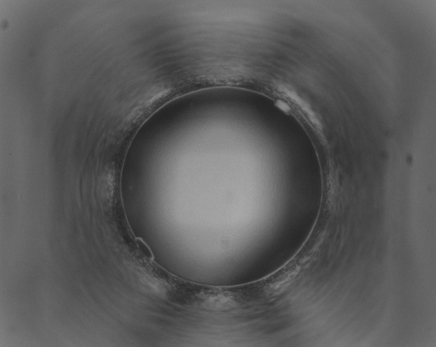 X0000089660113200707121209