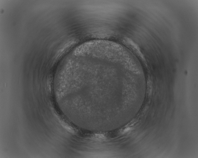 X0000089660114200707121209