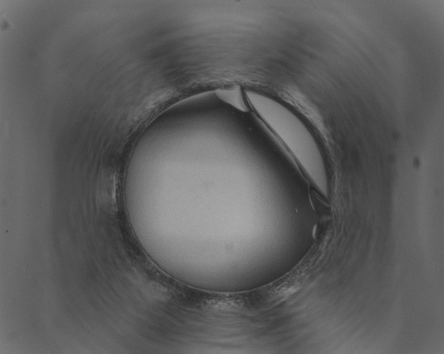 X0000089660115200707121209