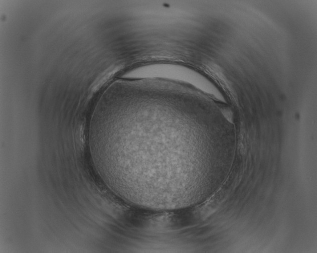 X0000089660116200707121208