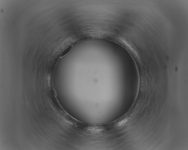 X0000089660117200707121208