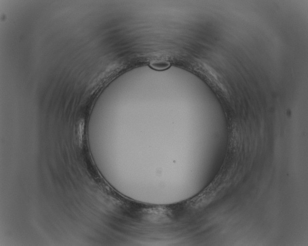 X0000089660118200707121208