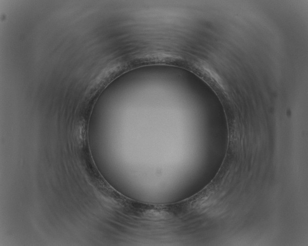 X0000089660119200707121208