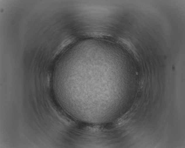 X0000089660120200707121208