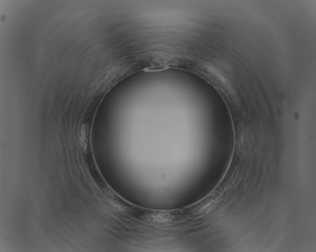 X0000089660121200707121208