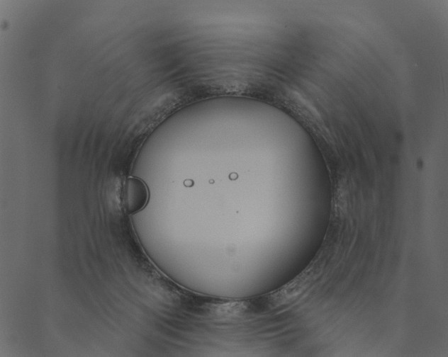 X0000089660122200707121208