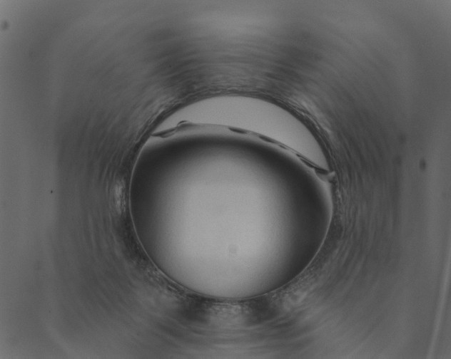 X0000089660123200707121208