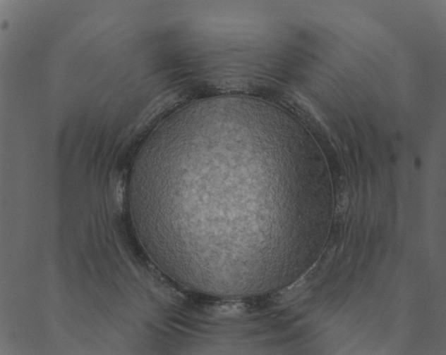 X0000089660124200707121208