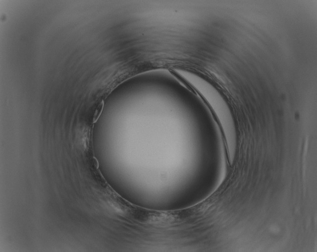 X0000089660125200707121208