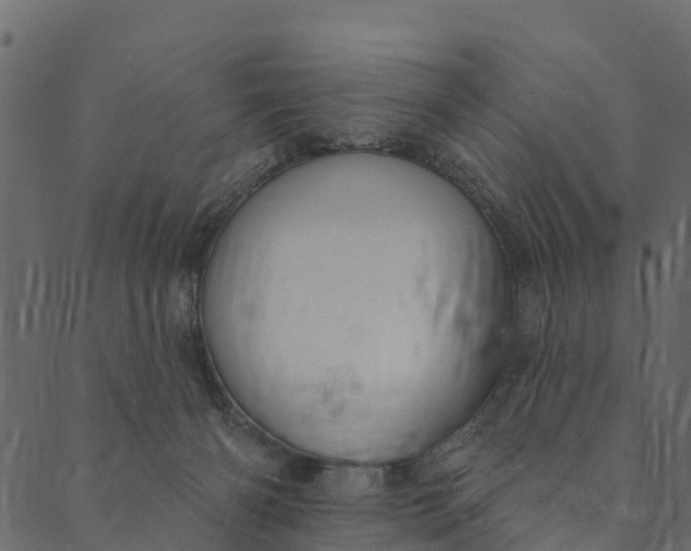 X0000089660126200707121208