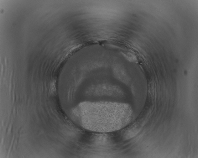 X0000089660127200707121208