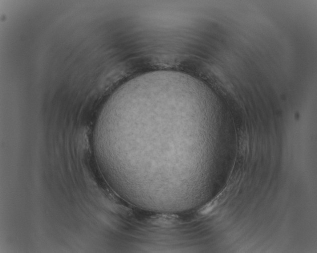 X0000089660128200707121208