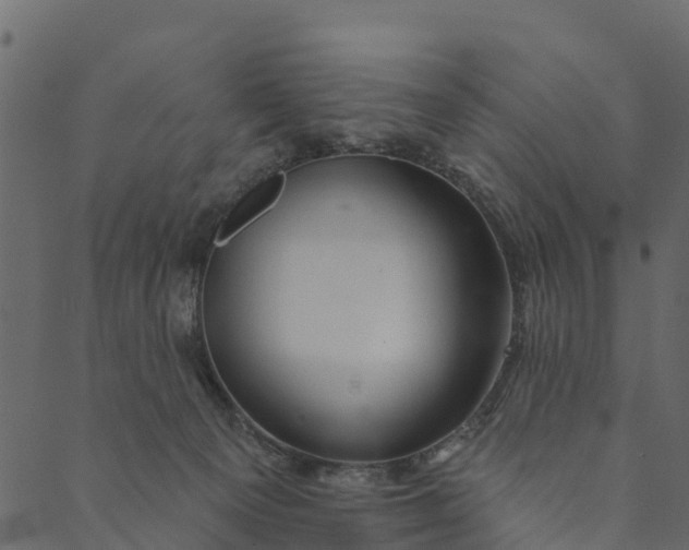 X0000089660129200707121208