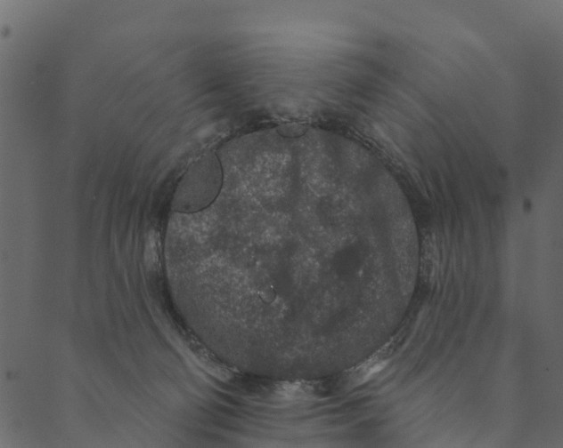 X0000089660130200707121208