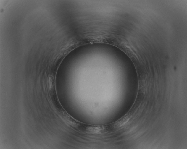 X0000089660131200707121208