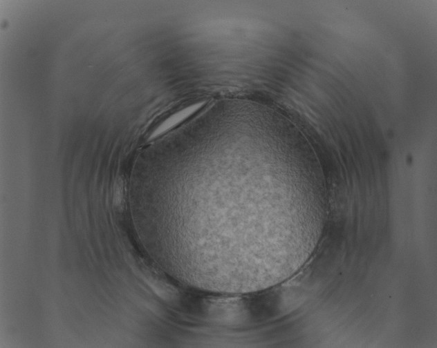 X0000089660132200707121208