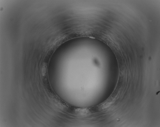 X0000089660133200707121208