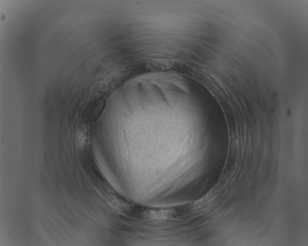 X0000089660134200707121208