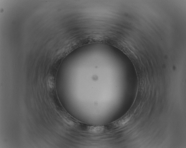 X0000089660135200707121208