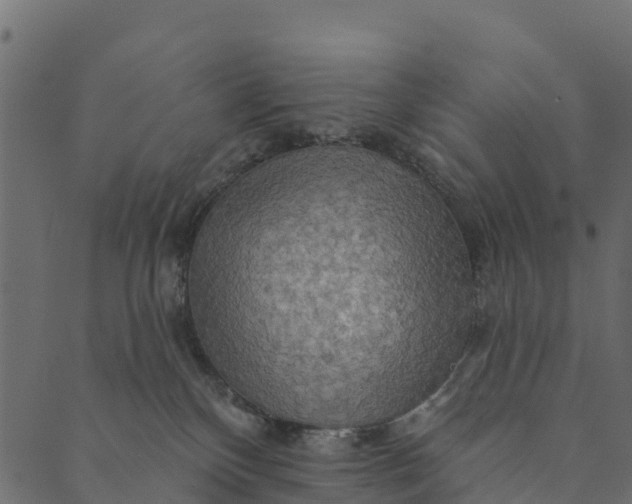 X0000089660136200707121208