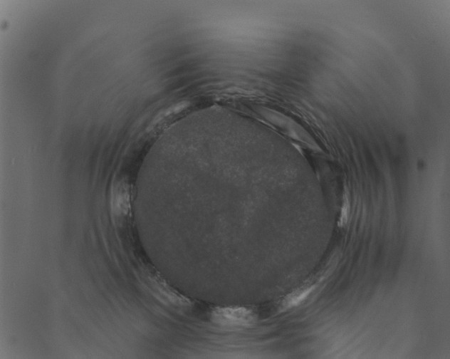 X0000089660137200707121208