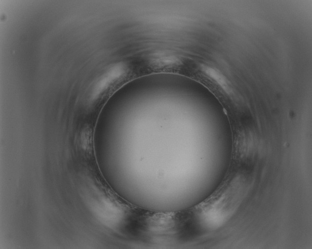 X0000089660138200707121208