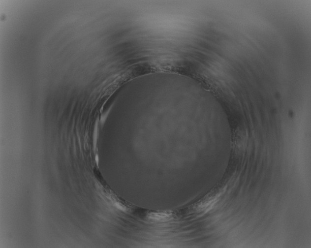 X0000089660139200707121208