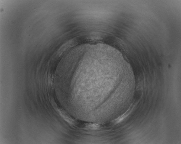 X0000089660140200707121208