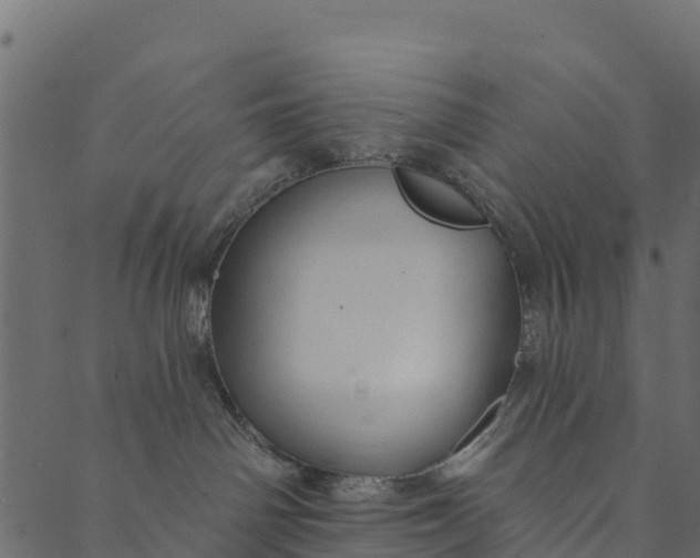 X0000089660142200707121208