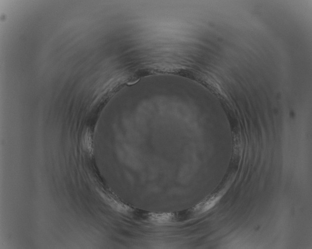 X0000089660143200707121208