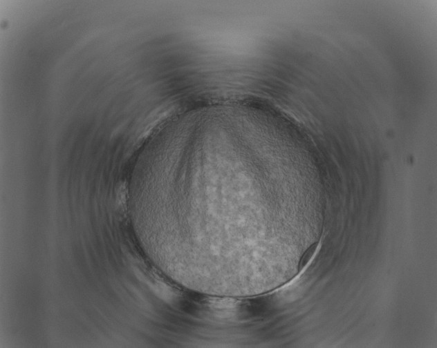 X0000089660144200707121208