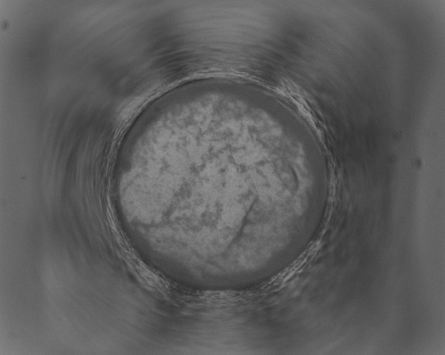 X0000089660145200707121207