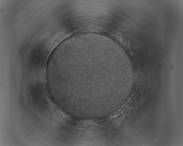 X0000089660146200707121207