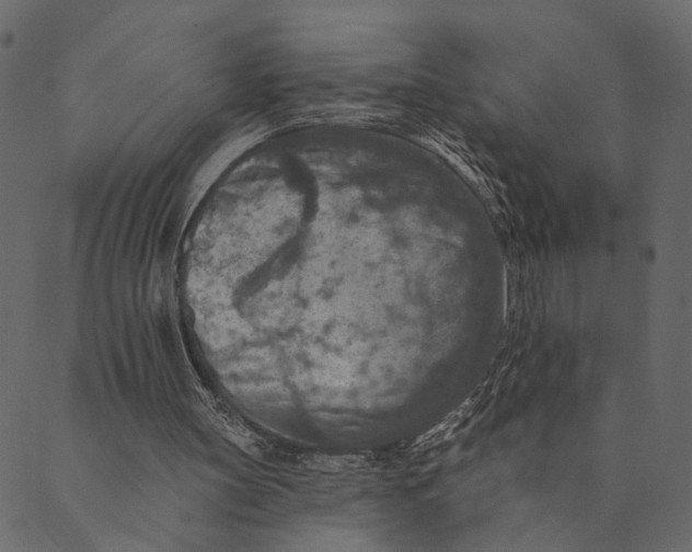 X0000089660147200707121207