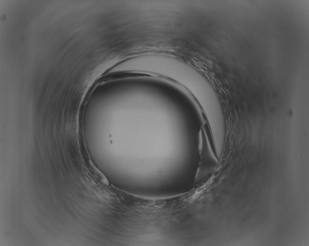 X0000089660148200707121207