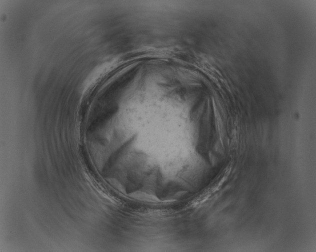 X0000089660149200707121207