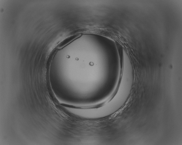 X0000089660150200707121207