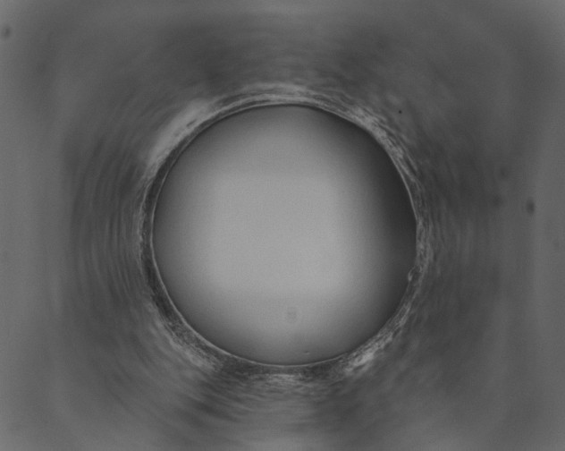 X0000089660151200707121207