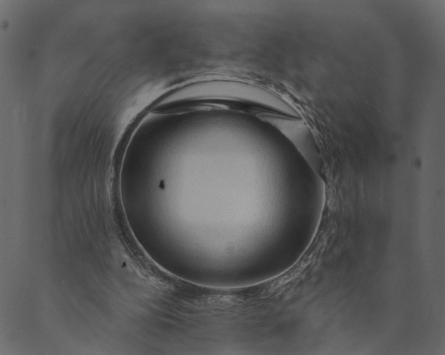 X0000089660152200707121207